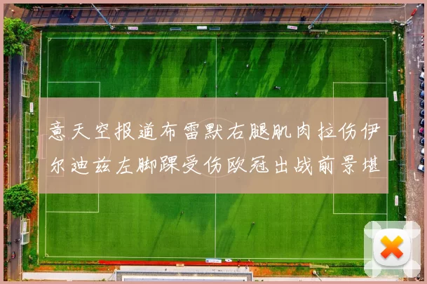 意天空报道布雷默右腿肌肉拉伤伊尔迪兹左脚踝受伤欧冠出战前景堪忧