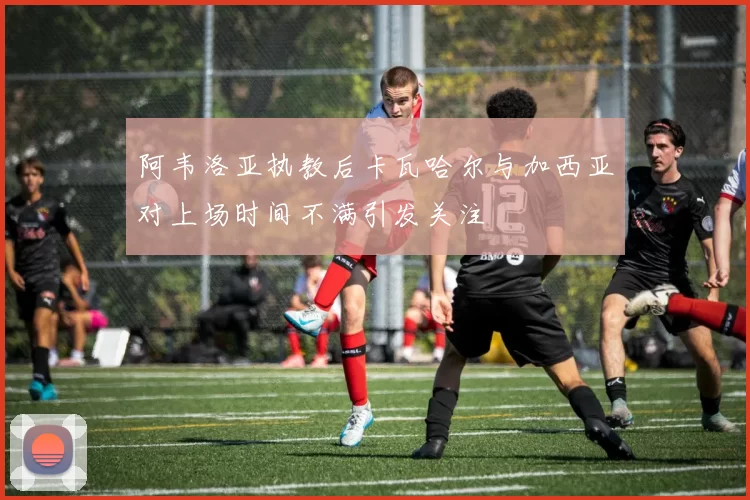 阿韦洛亚执教后卡瓦哈尔与加西亚对上场时间不满引发关注