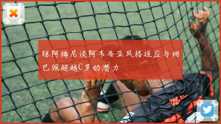 琼阿梅尼谈阿韦洛亚风格适应与姆巴佩超越C罗的潜力